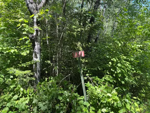 11703 Jacobs Rd, Orr, MN 55771