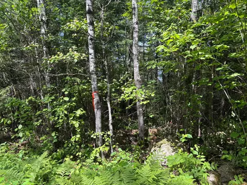 11703 Jacobs Rd, Orr, MN 55771 photo 4
