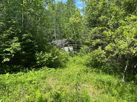 11703 Jacobs Rd, Orr, MN 55771 photo 3