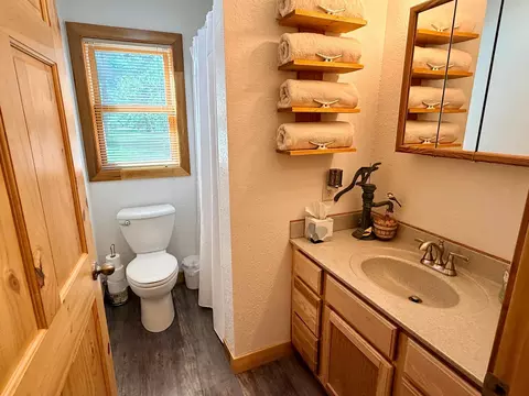 Bath - 11326 Grouse Loop NW, Walker, MN 56484 photo 3 of 5