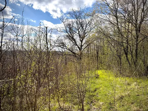 tbd County Line Ave, Clear Lake, WI 54005