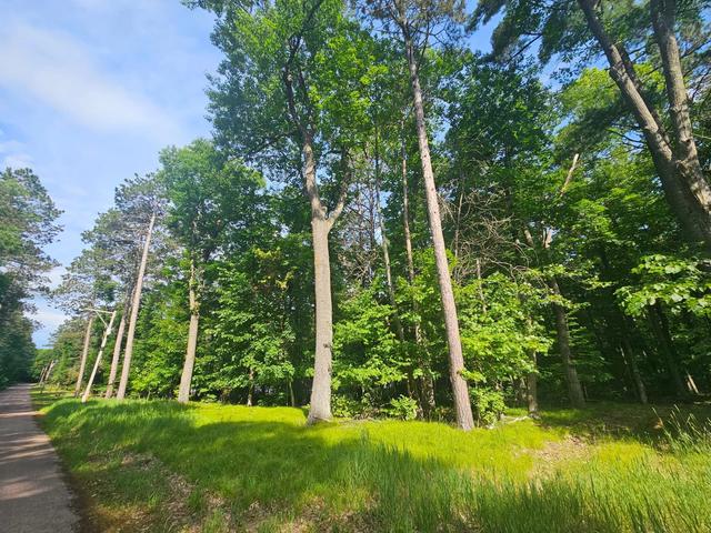 tbd Whitefish Ave, Cross Lake, MN 56442