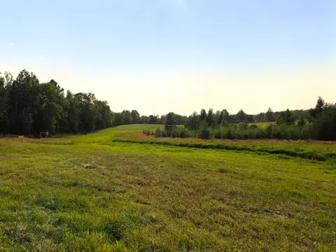 Other - 68611 Fleming Rd, Bruno, MN 55712 photo 6 of 7