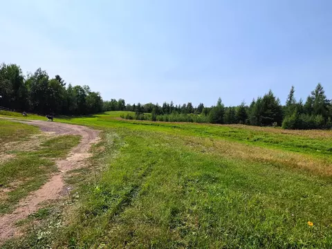 Exterior - 68611 Fleming Rd, Bruno, MN 55712 photo 10 of 10