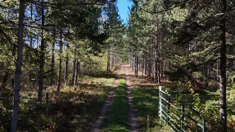 n5813 Mann Road, Spooner, WI 54801 photo 8