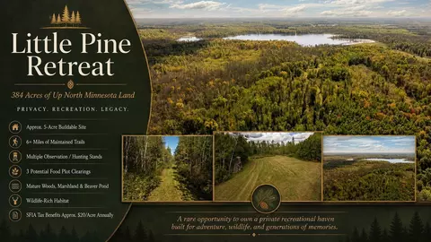 384 Acres Tbd Little Pine Rd, Emily, MN 56447