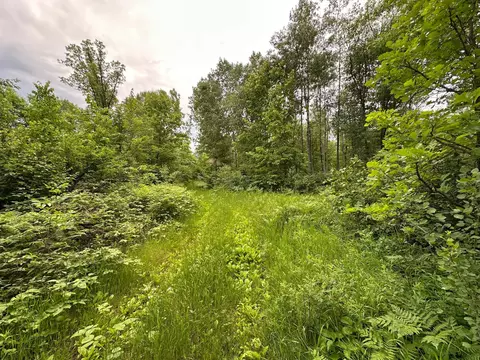 tbd 269th Ave, Laporte, MN 56461 photo 10