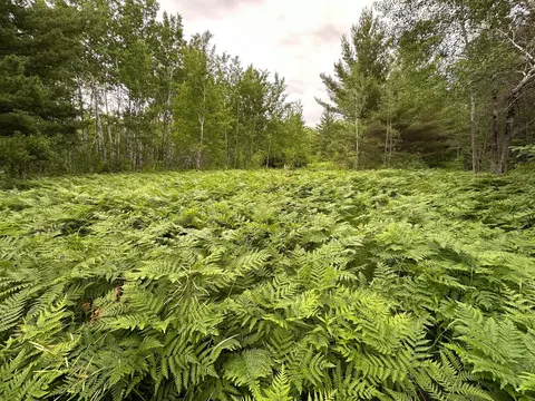 tbd 269th Ave, Laporte, MN 56461 photo 14