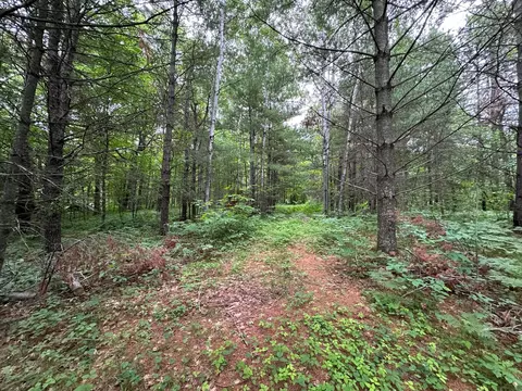 tbd 269th Ave, Laporte, MN 56461 photo 21