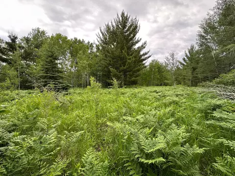 tbd 269th Ave, Laporte, MN 56461 photo 12