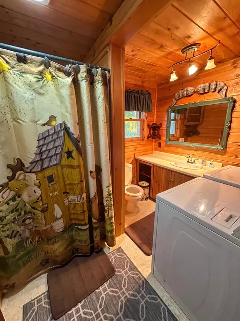 Bath - 213 3rd St N, Hackensack, MN 56452 photo 1 of 3