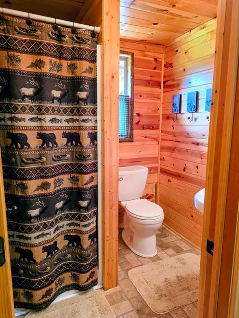 Bath - 51812 Becker Rd, Bigfork, MN 56628 photo 1 of 5