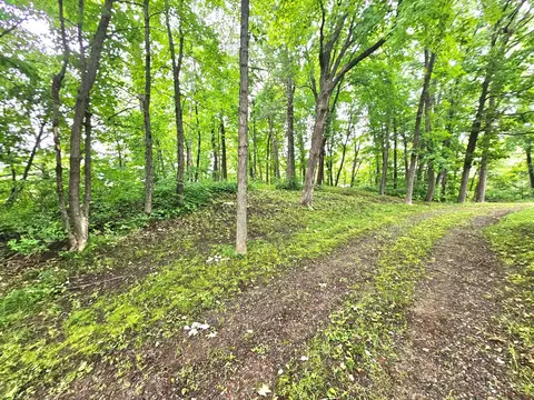 tbd E Grace St, Isle, MN 56342 photo 4