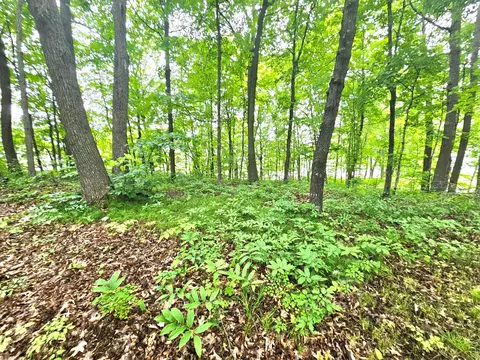 tbd E Grace St, Isle, MN 56342 photo 12