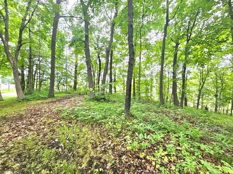tbd E Grace St, Isle, MN 56342 photo 5