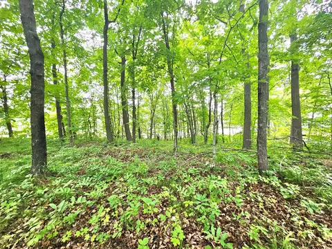 tbd E Grace St, Isle, MN 56342 photo 3