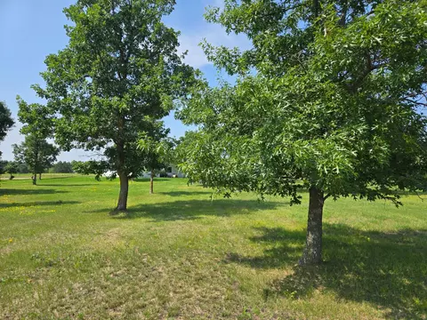 tbd Walnut Ln, Park Rapids, MN 56470 photo 3