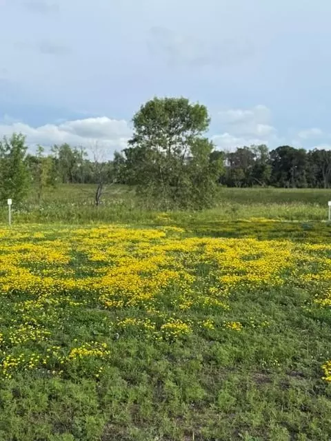 26381 Preserve Dr, Elko New Market, MN 55054