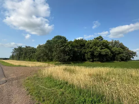 Nnn 165th Avenue Ne, Foley, MN 56329