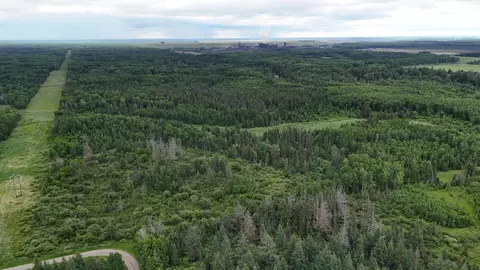 tbd Quaal Rd, Forbes, MN 55738