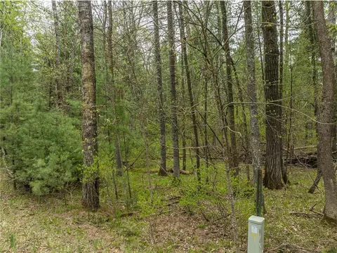 tbd Chokecherry Dr, Nevis, MN 56467 photo 3