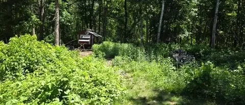 33810 Wildberry Ln, Pequot Lakes, MN 56472