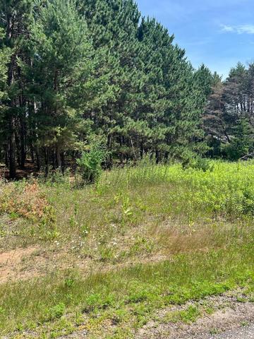 tbd Thomas Dr, Little Falls, MN 56345