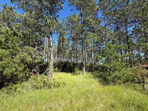 tbd County 48, Park Rapids, MN 56470 photo 14