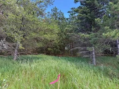 tbd County 48, Park Rapids, MN 56470 photo 12