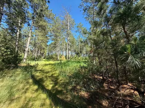 tbd County 48, Park Rapids, MN 56470 photo 5