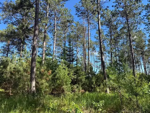 tbd County 48, Park Rapids, MN 56470 photo 17