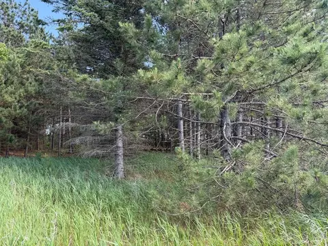 tbd County 48, Park Rapids, MN 56470 photo 18