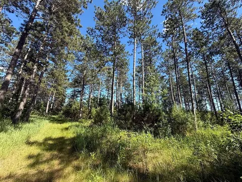 tbd County 48, Park Rapids, MN 56470 photo 16