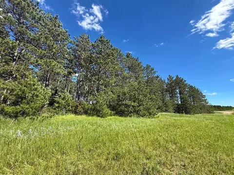 tbd County 48, Park Rapids, MN 56470 photo 3