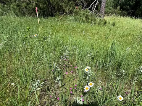 tbd County 48, Park Rapids, MN 56470 photo 19