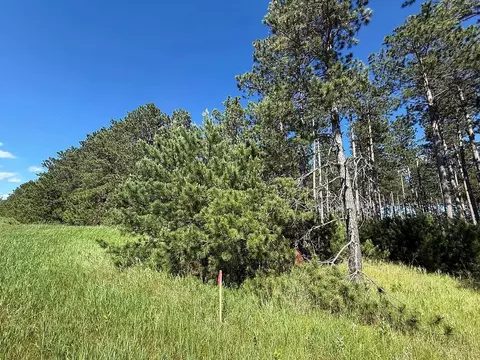 tbd County 48, Park Rapids, MN 56470 photo 10