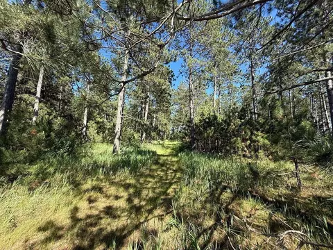 tbd County 48, Park Rapids, MN 56470 photo 6