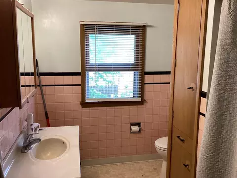 Bath - 413 Hawthorne St E, Albert Lea, MN 56007 photo 2 of 2