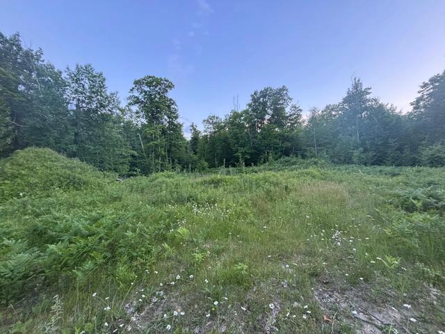 39987 Cass Line Rd, Laporte, MN 56461
