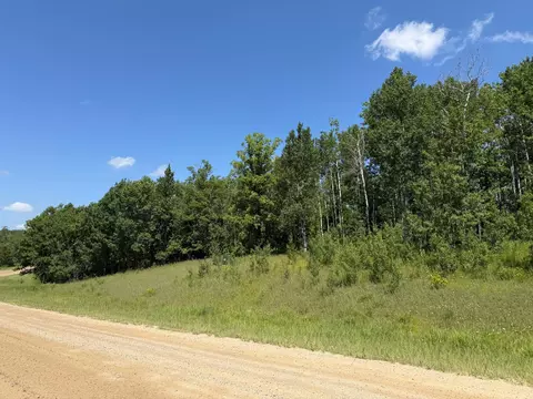 tbd County 95, Laporte, MN 56461 photo 6
