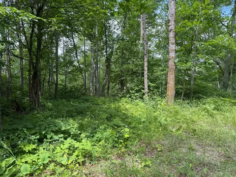 tbd County 95, Laporte, MN 56461 photo 15