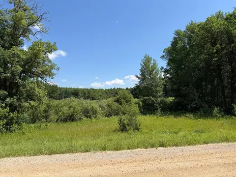 tbd County 95, Laporte, MN 56461 photo 3