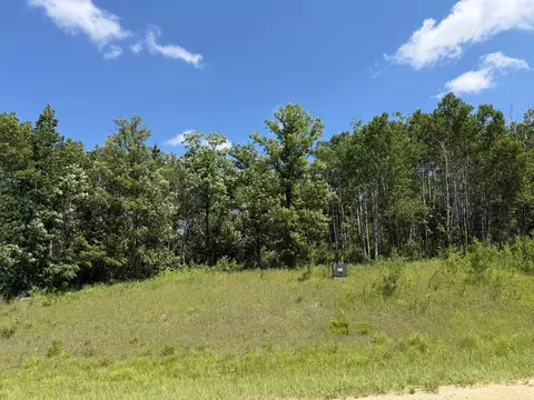 tbd County 95, Laporte, MN 56461 photo 1