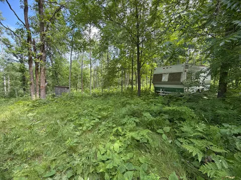tbd County 95, Laporte, MN 56461 photo 13
