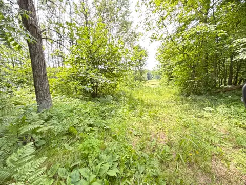 tbd County 95, Laporte, MN 56461 photo 3
