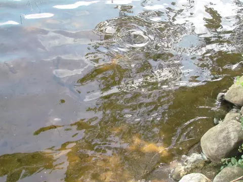 View/Area - 14438 Cedarleaf Point Rd, Brainerd, MN 56401 photo 5 of 5