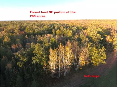 12201 E Haukkila Rd, Maple, WI 54854 photo 10