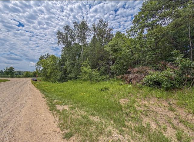 tbd Grant Hills Rd SW, Bemidji, MN 56601