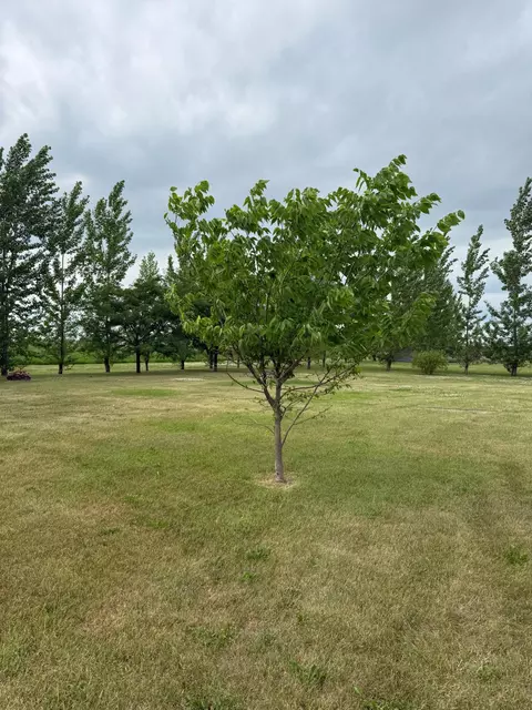 Other - 703 7th St W, Ada, MN 56510 photo 1 of 9
