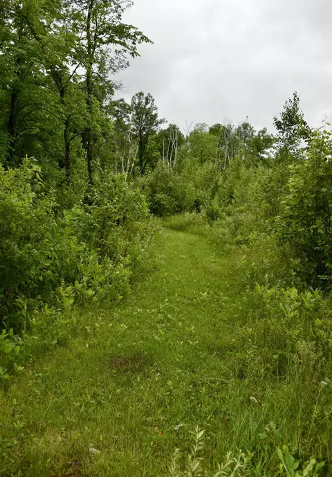Other - 13591 230th St, Milaca, MN 56353 photo 19 of 35